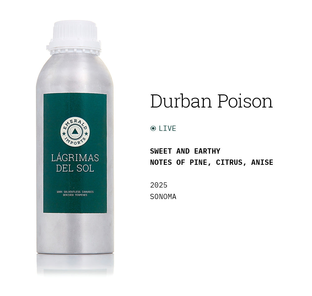 Durban Poison 2025 (Live) – Emerald Imports