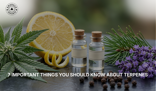 7 Important Things You Should Know About Terpenes
