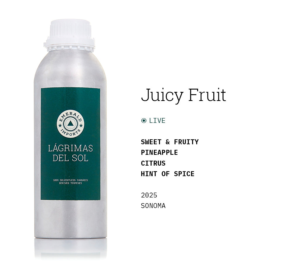 Juicy Fruit 2025 (Live)