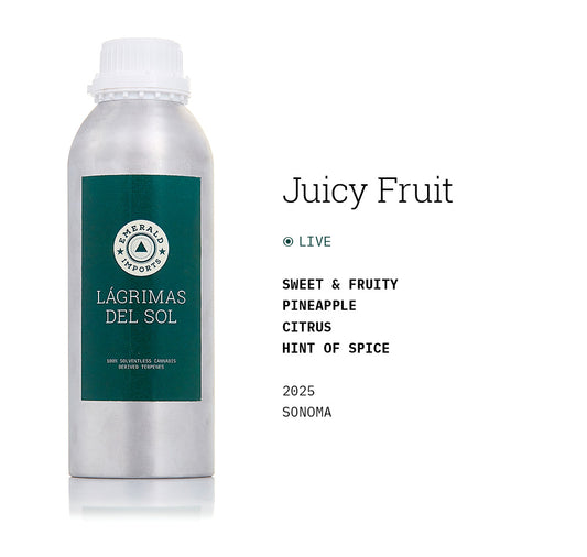 Juicy Fruit 2025 (Live)