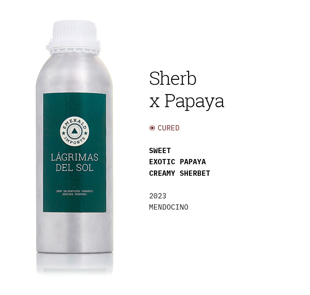 1000ml aluminum bottle with emerald green label, filled with organic Sherb x Papaya solventless cannabis terpenes
