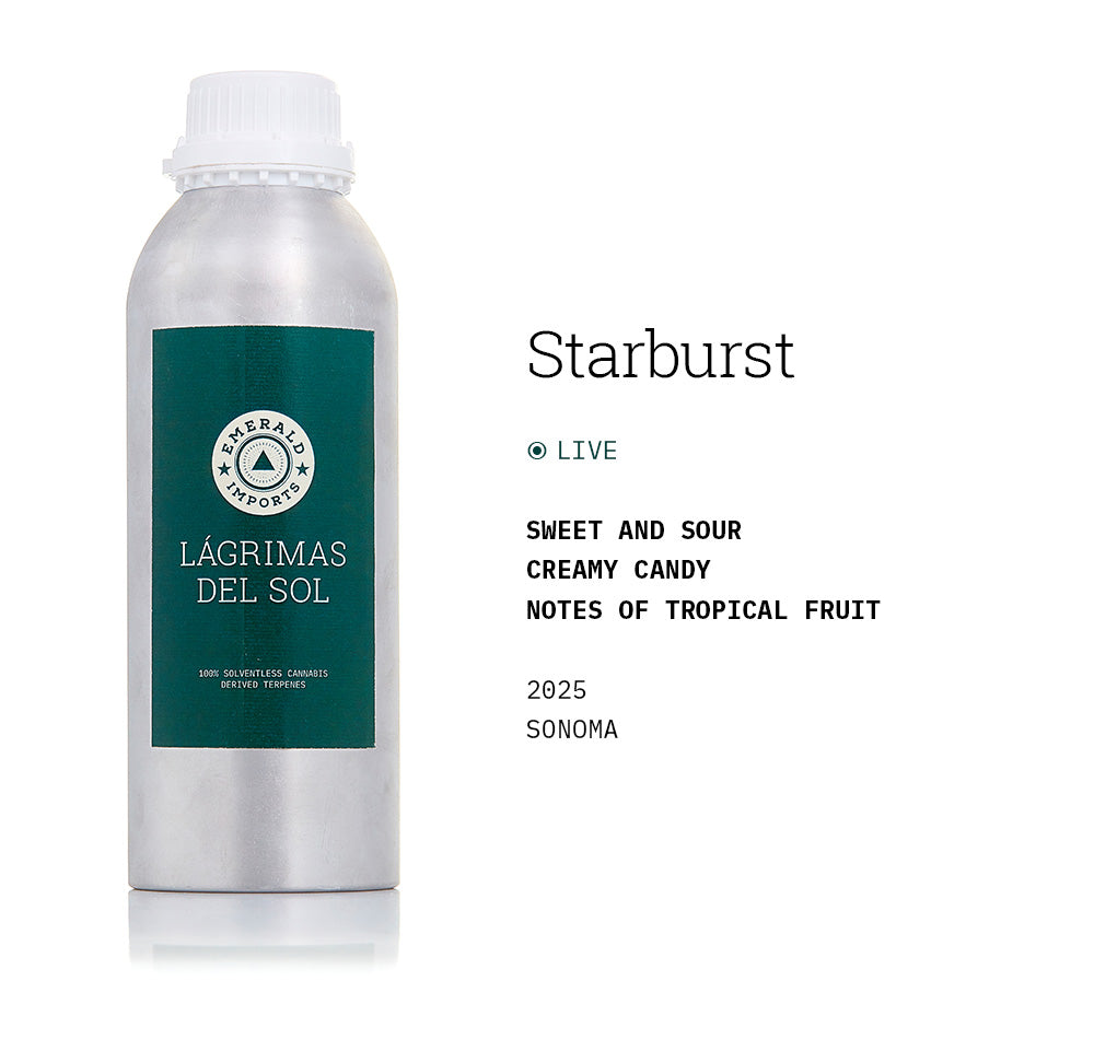 Starburst 2025 (Live)